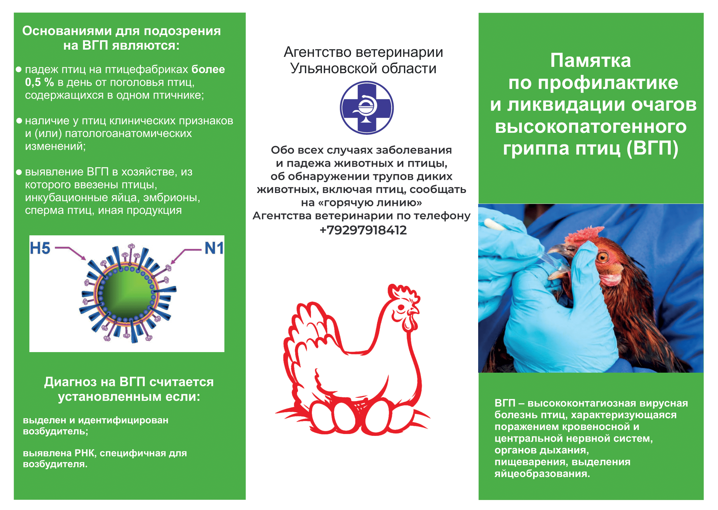 Информирование о сложной эпизоотической ситуации по высокопатогенному гриппу птиц.