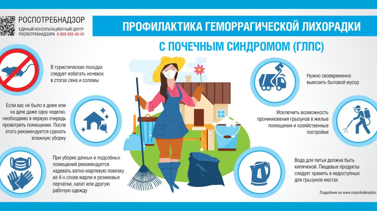 Профилактика геморрагической лихорадки с почечным синдромом (ГЛПС). Профилактика геморрагической лихорадки с почечным синдромом (ГЛПС).